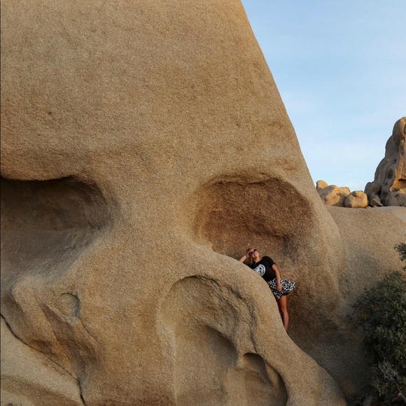 Meet your Posher, Cecilia - Picture 1 of 1